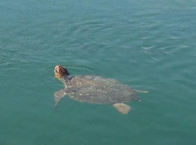 Barbara΄s Apartamento *